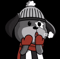 Futebol Mascote GIF