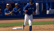 Home Run Yes GIF by Toronto Blue Jays