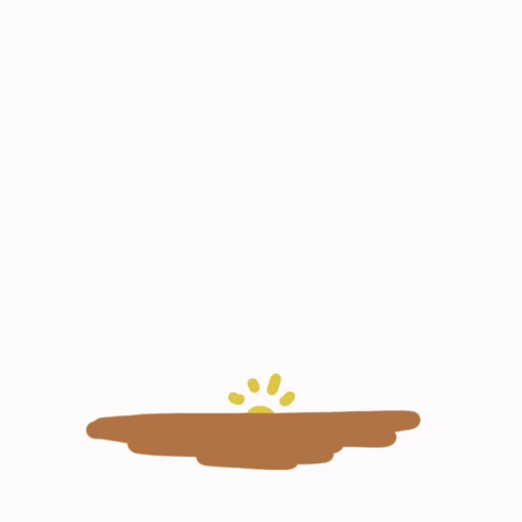 Happy Good Morning GIF