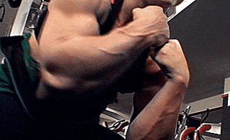 women with muscle GIF