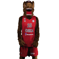 Happy Sport Sticker by CSKA Moscow