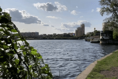 giphyupload moscow GIF