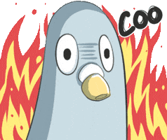 Fire Laugh GIF by Jin