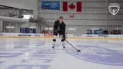 Hockey Arc GIF by All-Round Champion
