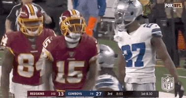 2019 Nfl Football GIF by NFL