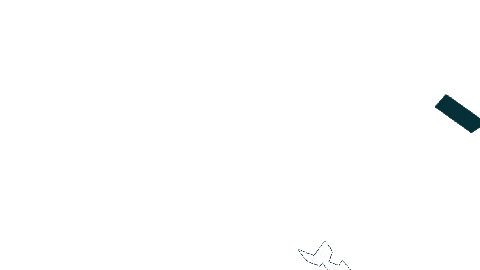 Festival Reggae Sticker by MUSA CASCAIS