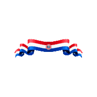 idsmusic paraguay ids music Sticker
