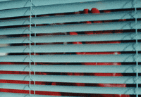 Look Looking GIF by Zella Day