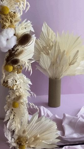 treestripes giphyupload GIF