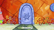 season 9 GIF by SpongeBob SquarePants
