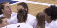 Happy Wisconsin Badgers GIF by NCAA Championships