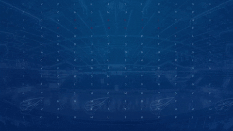 PiratiChomutov giphygifmaker lukas goool pirati GIF