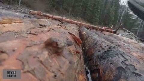 GIF by Discovery