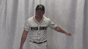 Collegebaseball Ncaadii GIF by RiverHawk Sports