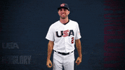 Pro GIF by USA Baseball