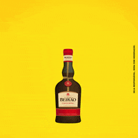 Happy New Year Portugal GIF by Licor Beirão