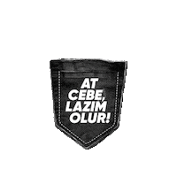 Axe Parfum Sticker by Unilever Turkiye