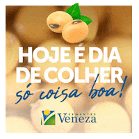 Ubs GIF by Sementes Veneza