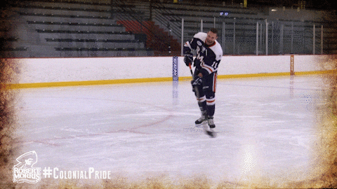 happy ice hockey GIF by Robert Morris University Athletics