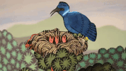 chadvangaalen animation stop motion summertime sub pop GIF