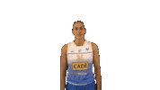 sedisbasquet gala cadilaseu sedis mestres Sticker