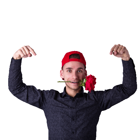 universitydancecenter giphyupload dance man rose Sticker