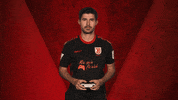Vbl Regensburg GIF by Bundesliga