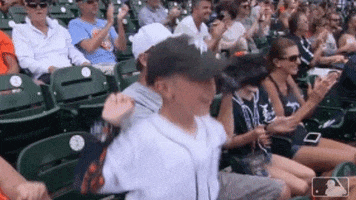 Major League Baseball Love GIF by Detroit Tigers