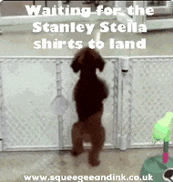 Printing T-Shirts GIF by Squeegee & Ink