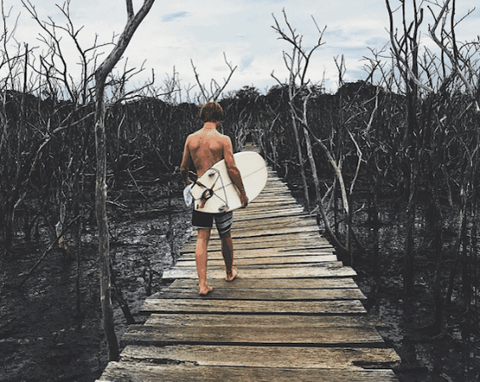 colemanledbetter giphygifmaker giphyattribution GIF