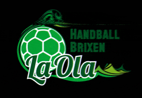 LaolaBrixen handball brixen laola brixen ssv brixen GIF