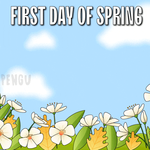 Happy Flower GIF by Pudgy Penguins