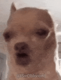 Singing Dog GIF