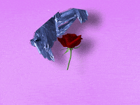 feels love you GIF by Jay Sprogell