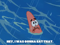 season 6 GIF by SpongeBob SquarePants