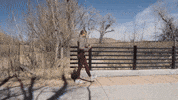 Sport Running GIF by Stryd