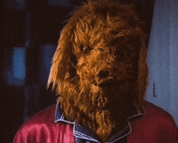 Sad Dog GIF