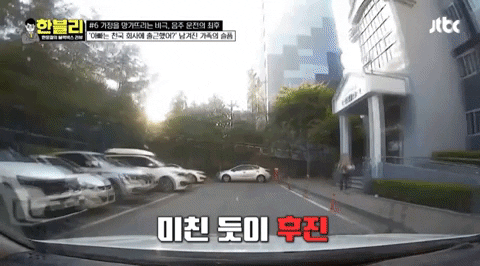 yj_jane giphyupload GIF