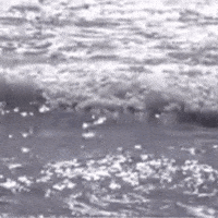Facial Expression Water GIF