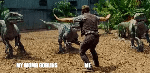 amccambridge giphygifmaker giphyattribution GIF