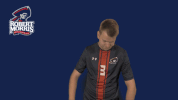 rmuathletics rmu robert morris robert morris university GIF