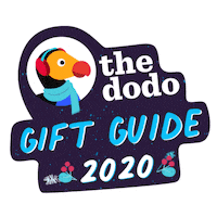 Gift Guide Cat Gifts Sticker by The Dodo