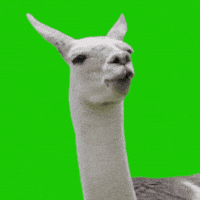 Trend Smile GIF