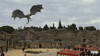 gameofthrones hbo game of thrones GIF