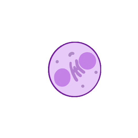 Biology Cell Sticker