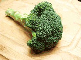 stem GIF