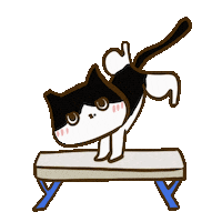 Artistic Gymnastics Olympic Sticker by yomoyeah