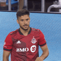 Happy Bmo Field GIF by Toronto FC