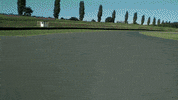 jaguar racing noodle GIF by Gorillaz