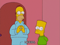 homer simpson GIF